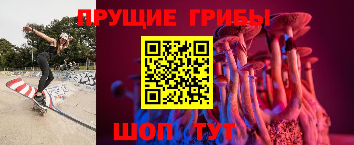 закладки  Вход с VPN  Татарск  Псилоцибиновые грибы GOLDEN TEACHER  Галлюциногенные грибы ЛСД 